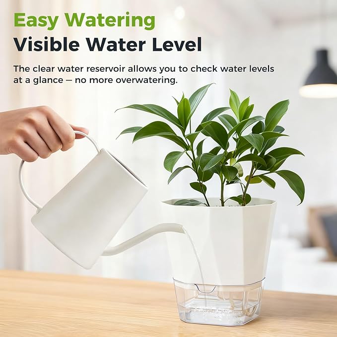 12 Pack Self Watering Plant Pots 6 Inches Self-Watering Planters for Indoor and Outdoor Plants African Violet Succulent Pots Clear Pot for Plants Large Herb Orchid Flower Houseplant Plant, White