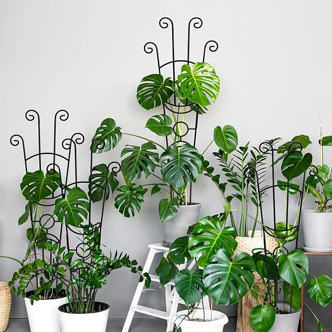 32.6in Monstera Plant Support Stakes for Indoor Plants, Metal Garden Plant Trellis for Climbing Plants, Pothos Vine Snake Climber Support,4p