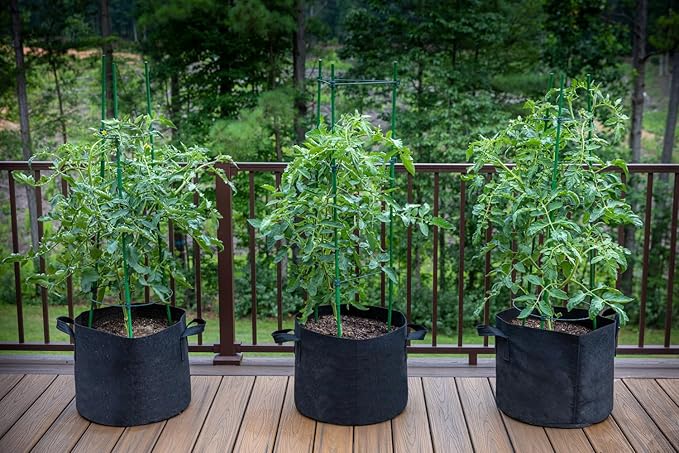 Gardzen 10-Pack 1 Gallon Grow Bags, Aeration Fabric Pots with Handles, Heavy Duty Cloth Pots for Plants