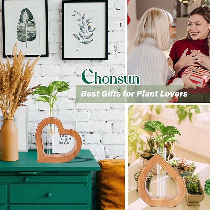 Terrarium Set of 2 with Heart-Shaped Wood Stand and Glass Tube