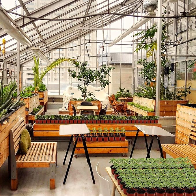 MIXC Plant Nursery Pots with Humidity Dome 4" Soft Transparent Plastic Gardening Pot Planting Containers Cups Planter Small Starter Seed Starting Trays for Seedling with 10pcs Plant Labels,30 Sets