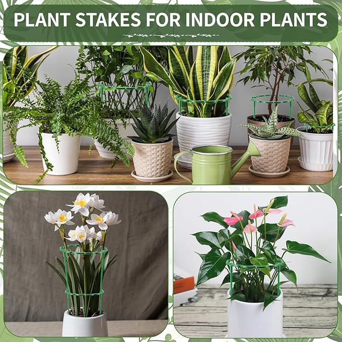 36 Pack Plant Support Stakes Sets - Versatile Plant Cages, Stackable Garden Flower Support, Small Plant Stakes for Indoor Plants,Tomato,Monstera, Peony, Hydrangea, Climbing Plants