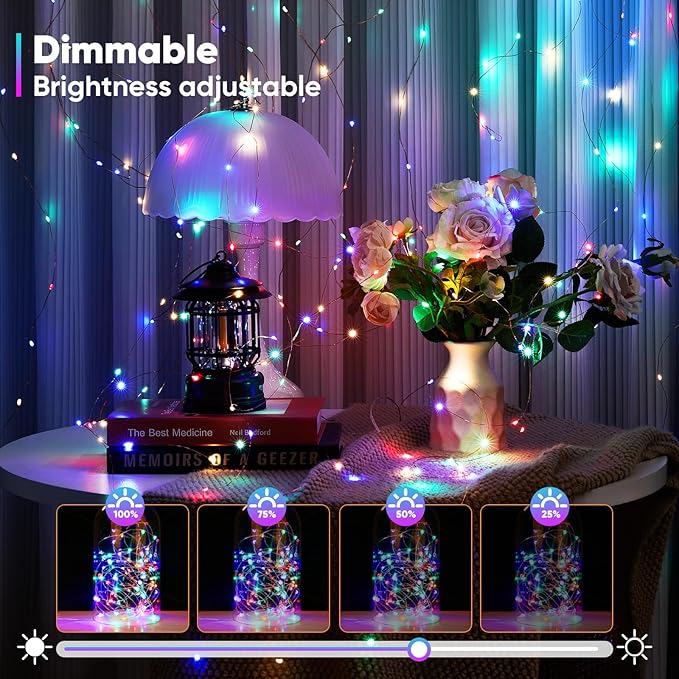 Indoor String Lights 65.6 Ft Battery Powered LED with Remote Control