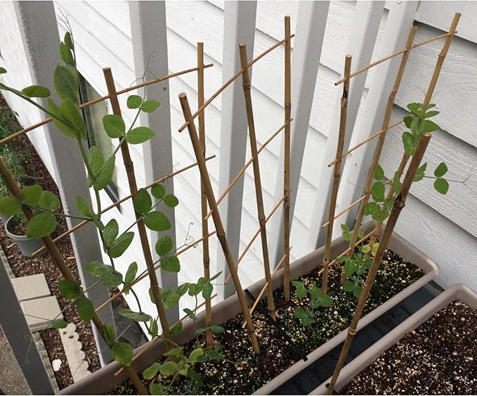 Avalution 10 Pack Bamboo Trellis for Climbing Plants 16" Natural Garden Ladder Trellis, Fan -Shaped Plant Support Trellis for Potted Plant Decor