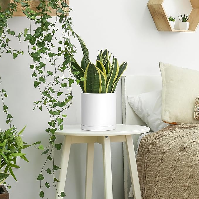 Planters 4 Pack 6.5 Inch Matte White Plastic Pots with Saucers