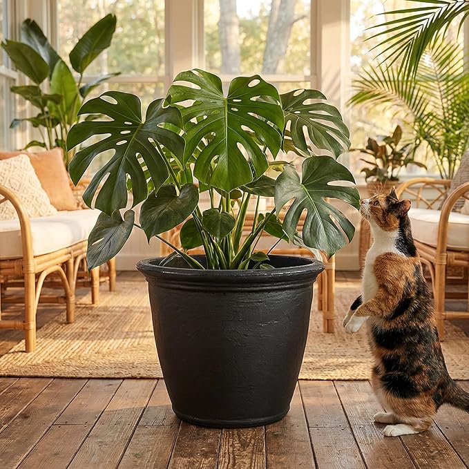 Sunnydaze 20-Inch Anjelica Large Plastic Pot for Plants - Outdoor Double-Walled Large Plastic Planter with Drillable Drainage Holes - Matte Black - 2pk