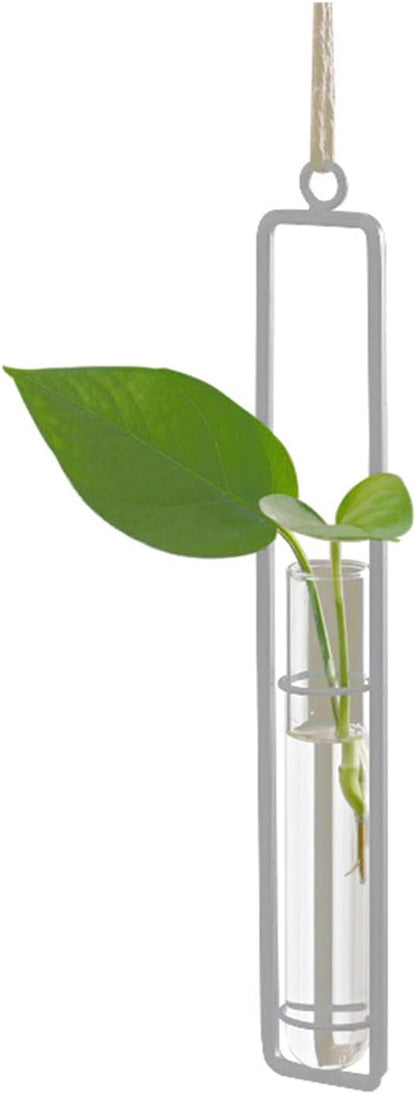 3 Pieces Hanging Plant Glass Test Tubes Hydroponic Vase Planters Wall-Mounted Terrarium Container for Indoor Outdoor Home Decoration (White)