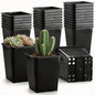 Nursery Pots 6 Inch 40 Pcs, Plastic Seed Starting Pot with Drainage Holes, Sturdy Seedling pots for Planting, Cuttings (Black)