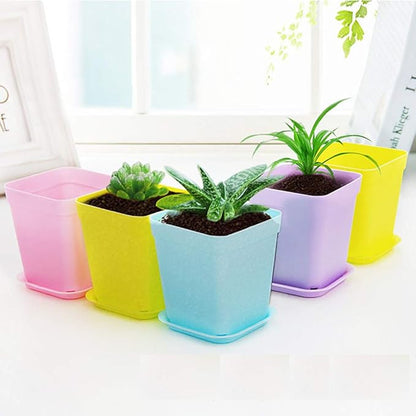 24 Pack 3inch Multi Color Square Plastic Plant Pots,Seedling Nursery Transplanting Planter Container Indoor Outdoor for Your Room,Garden Office and Balcony Decor