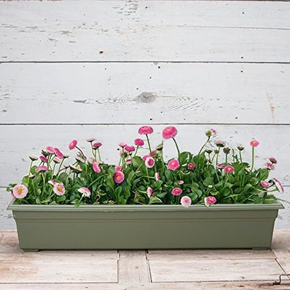 Root & Vessel 16360, Sage, Countryside Flower Box Planter, 36-Inch