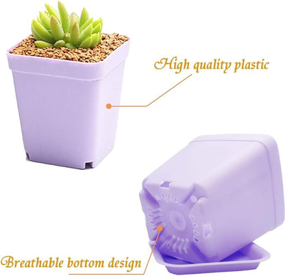 Anyumocz 24 Pack Plastic Square Nursery Pots 3 Inch Plastic Plant Pots,Flower Pot with Tray Saucer for Indoor Outdoor Garden Office Decor