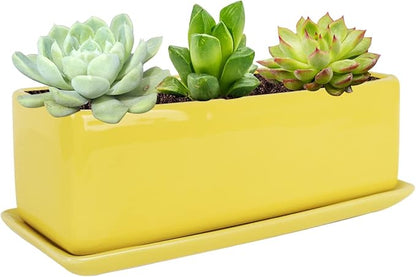 Vencer 12 Inch Rectangular Modern Minimalist Ceramic Succulent Planter Pot - Window Box with Saucer,Office Desktop Potted Stand,Yellow,VF-0135Y