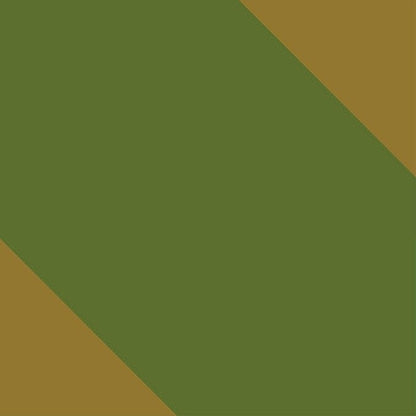 Durable Hammock 500 lb Capacity, Nylon Camping Hammock Chair - Double or Single Sizes w/Tree Straps and Attached Carry Bag - Portable for Travel/Backpacking/Beach/Backyard (Large, Khaki & Dark Green)