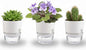 3.2 Inch Self Watering Planters Plastic Planter Pots 3 Pack Wicking Flower Pots Modern Decorative Planter for Small African Violets House Plants,Herbs,Indoor Outdoor Plant (White)