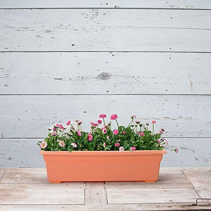Root & Vessel 16245 Countryside Flower Box, 24-Inch, Terracotta