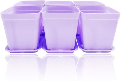 Anyumocz 24 Pack Plastic Square Nursery Pots 3 Inch Plastic Plant Pots,Flower Pot with Tray Saucer for Indoor Outdoor Garden Office Decor