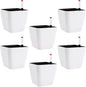 5.5 Inch Self Watering Plastic Planter With Indicator - 6 PCS Square Plant Pots, Decorative Lazy Flower Pot for House Plants, Herbs, Aloe, Succulents