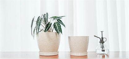 Docrin Ceramic Plant Pots Indoor, 6.6 + 5.5 Inch Planters with Drainage Holes and Saucer for Home/Office - Set of 2 /White