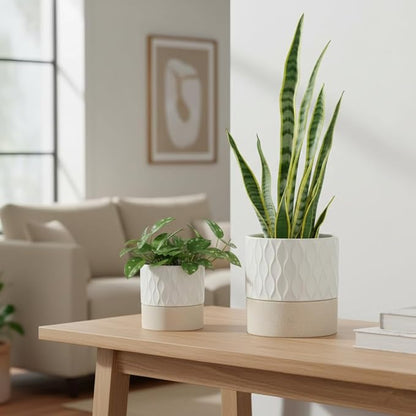 Nihow Self Watering Plant Pot for Indoor Plants: 4.5+6 Inch Ceramic Planter with Drainage Hole & Water Storage Plus - Cylinder Flower Pot with Wick for Herbs - Cream White & Brown Net