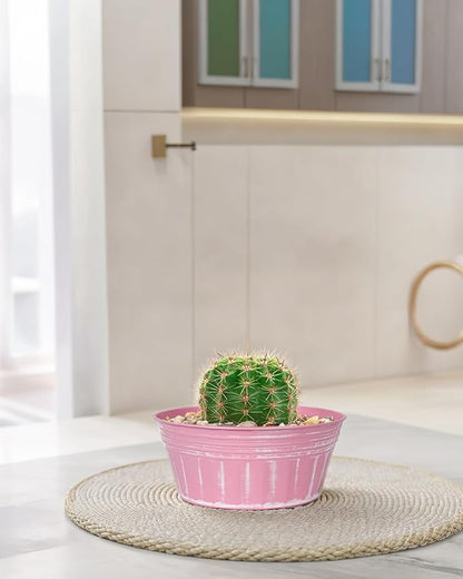 vensovo 10 Inches Pink Metal Rustic Plant Pots - 4 Pcs Large Shallow Galvanized Planters with Drain Hole and Rubber Plug, Rustproof Tin Bucket Succulent Pot Indoor Farmhouse Vintage Style for Decor