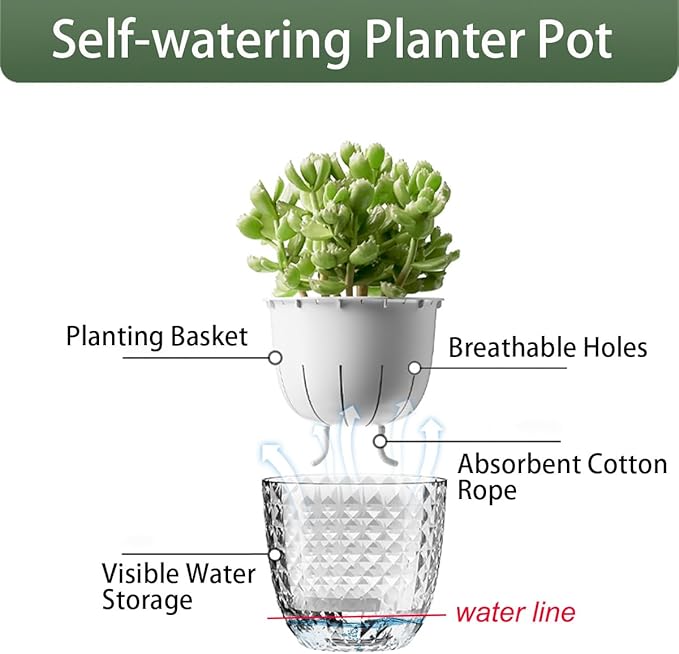 2 Pack 6 inch Self Watering Pots Planters for Indoor Plants, African Violets Pots with Wick Rope, Modern Plastic Nursery Pots for All House Plants,Flowers Succulents,Herbs,Cactus,Orchids