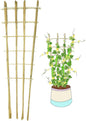 Natural Bamboo Trellis, 4.8Feet,3Pack,Fan-Shaped Plant Support Trellis for Outdoor and Indoor Potted Climbing Plants,Vegetables, Cucumber, Tomato, Hoya,