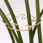 Monstera Plant Stem Support - 5 Piece Set, 4.13x2.95in Durable Leaf Holder & Fishbone Cactus Stake for Healthy Growth of Climbing Plants - Easy to Use Indoor Plant Decor
