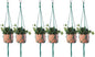 ELANE 6PCS Macrame Plant Hanger Indoor Hanging Planter Basket Decorative Tassels Flower Pot Holder for Indoor Outdoor Home Decor(6Pcs Green)