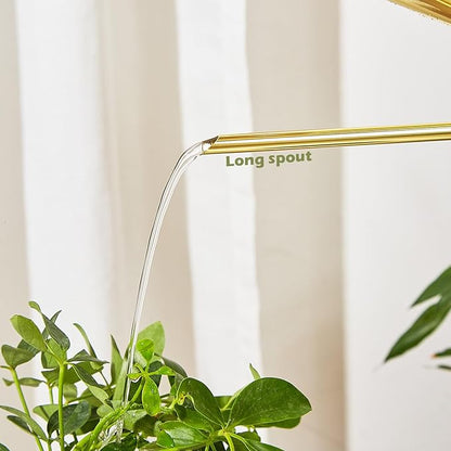 Watering Can for Indoor Plants, 50 oz/1.5L Stainless Steel Watering Can Pot with Long Spout, Garden Watering Cans with Comfortable Handle for Indoor House Plants Bonsai Flower Decorative