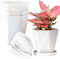InmeRun Plant Pots Indoor Plastic Flower Pots Outdoor 5 inch Set of 12 Pack with Drainage Holes and Saucers for Garden Pots (5 in 12 White)