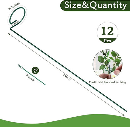 FEED GARDEN 24 Inch 12 Pack Plant Support Stakes, Metal Garden Flower Stakes and Supports for Outdoor Plants, Plant Stem Support with 24 Twist Ties for Amaryllis Lily Rose Peony Tomatoes Gladiolus
