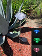 Solar Garden Stake Lights with Color Changing LED or Regular White LED Landscape Path Lights (Set of 2) (Rose)