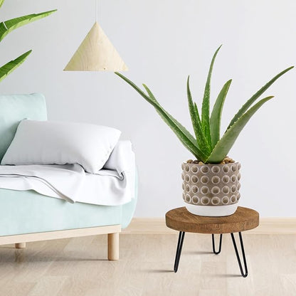 Plant Stand Indoor Outdoor Wood Mid Century Plant Stand for Indoor Plants, Modern Plant Table Round Plant Stool, Boho Rustic Wooden Stool for Plant Pot Hol (L)