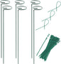Plant Stake Support - 6 Pack, Garden Single Stem Support Stake Plant Cage Support Rings, Single Stem Plant Support Stakes, Plant Twist Ties, for Flowers Amaryllis Tomatoes Peony Lily Rose (15.9 inch)
