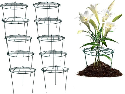MTB Supply 10 Pack 16 x 24 inch Peony Cages,Grow Through Plant Support Stakes, Flower Support Hoops Heavy Plants Brace Rings