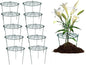 MTB Supply 10 Pack 16 x 24 inch Peony Cages,Grow Through Plant Support Stakes, Flower Support Hoops Heavy Plants Brace Rings