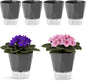 6 Pack Self Watering Pots for Indoor Plants, 5 Inches Self Watering Planters African Violet Self Watering Clear Pots for Plants Herb Orchid Flower Houseplant, Dark Grey