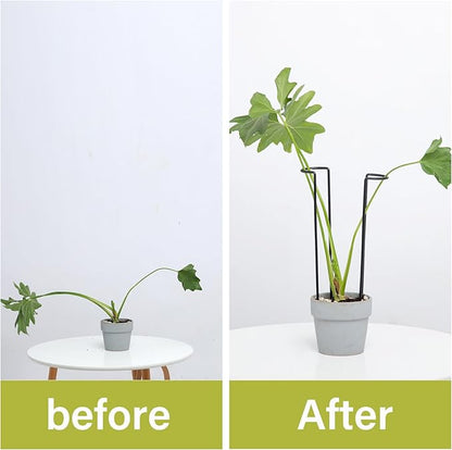10-Pack Monstera Plant Support - 12 Inch Durable Iron U-Shaped Trellis Stakes for Indoor & Outdoor Medium-Sized Potted Plants - Perfect Stem Holder for Monstera & More
