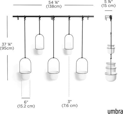 Umbra Triflora Hanging Planter for Window, Indoor Herb Garden, Set of 5, White/Black