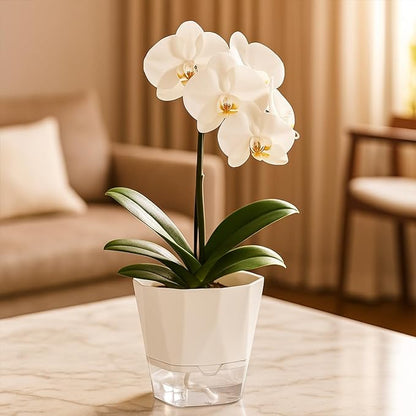 6 Pack Self Watering Pots for Indoor Plants, 5 Inches Self Watering Planters Small African Violet Self Watering Clear Pots for Plants Herb Orchid Flower Houseplant Pots, White