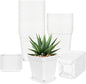 Anyumocz 24Pcs 3" Square Plastic Plant Pots,White Nursery Pots with Saucers,Seedling Nursery Transplanting Planter Container for Plants,Garden,Flower,Home,Office,Balcony Decor,Indoor,Outdoor