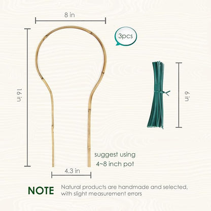 Plant Trellis Indoor 16in, Loop-Shaped Bamboo Trellis - 3 Pack for Climbing Plants, Hoya, Potted Plants