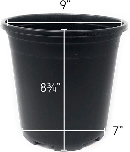 Wholesale Nursery Pot in Bulk 30-Pack 2 Gallon 9 Inch Plastic Planters for Outdoor Indoor Plants Gardening Flower Pots with Drainage Holes Color Black