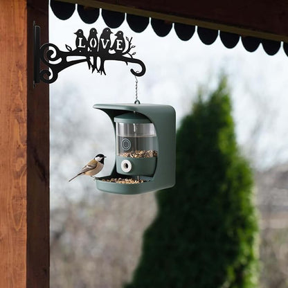 2-Pack Aesthetic Plant Hangers Outdoor and Indoor – 10 Inch Metal Hanging Plant Bracket with Beautiful Bird Pattern – Anti Rust Plant Hooks for Hanging Baskets, Bird Feeder, Windchime, Lantern