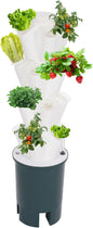 Hydroponic Growing System Indoor, 20-Hole Vertical Garden Planter Germination Kit, Smart Garden Vegetable Plant Kit with Pump and Movable Water Tank for Gardening Lover, IP68