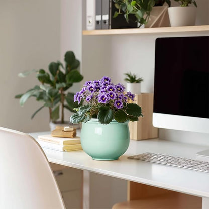 6 Inch African Violet Pots, Ceramic Self Watering Planter with Absorbent Inner Pot, Round Pots for Indoor Plants Outdoor, Ceramic Flower Pot, Office Decor, Plant Lover Gifts, Mint Green