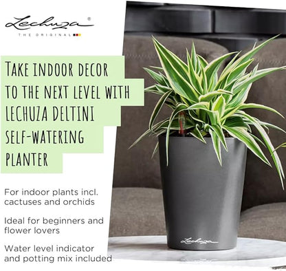 Lechuza DELTINI Shiny Taupe High Gloss, Self-Watering Small Indoor Planter, H7.5 L5.9 W5.9 in