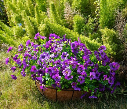 Artificial Flowers for Outdoor, UV Resistant Fake Silk Flowers, Realistic Faux Plants for Outside Indoor Porch Patio Window Box Planter Home Decor (14, Purple)