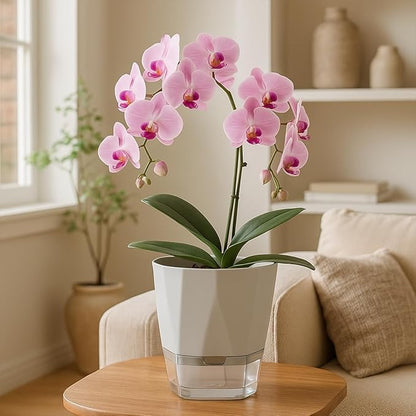 2 Pack Self Watering Pots for Plants, 8.4" Self Watering Planters Large African Violet Self Watering Clear Pots for Plants Large Herb Orchid Flower Houseplant Pots, Light Grey