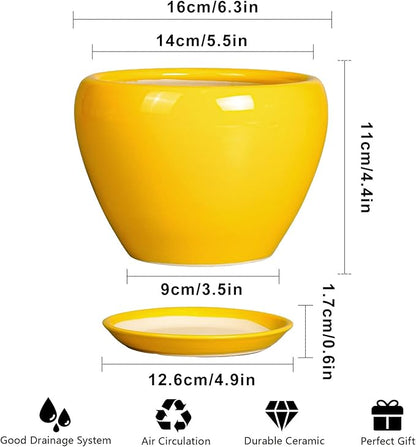 Ceramic Pot for Plants - 6 Inch Plant Pot Glaze Modern Decorative Round Planter with Drainage Hole and Saucer for Home Patio Room Office House Decor, Yellow